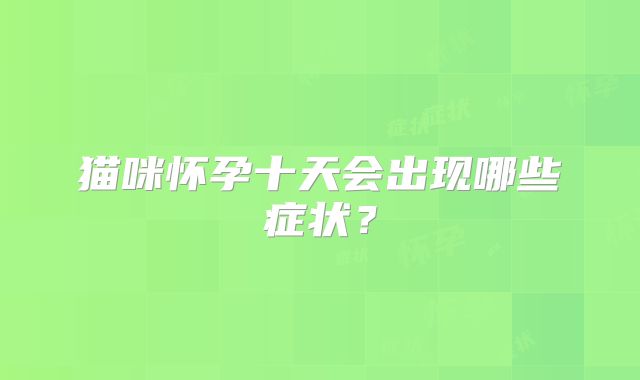 猫咪怀孕十天会出现哪些症状？