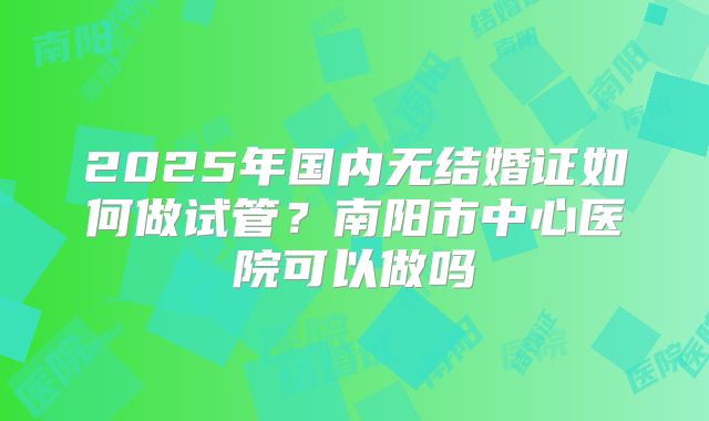 2025年国内无结婚证如何做试管？南阳市中心医院可以做吗