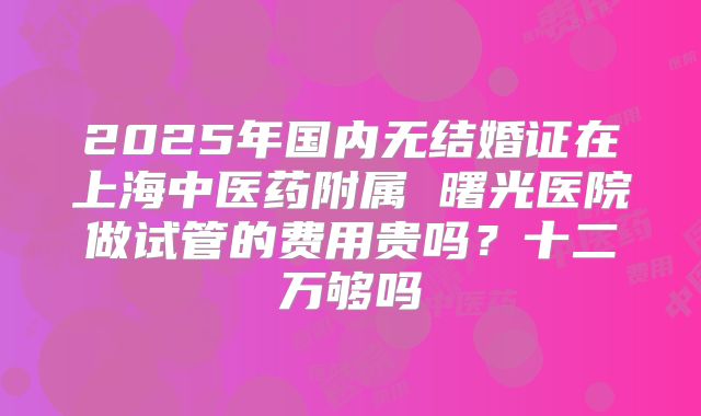 2025年国内无结婚证在上海中医药附属 曙光医院做试管的费用贵吗?十二万够吗
