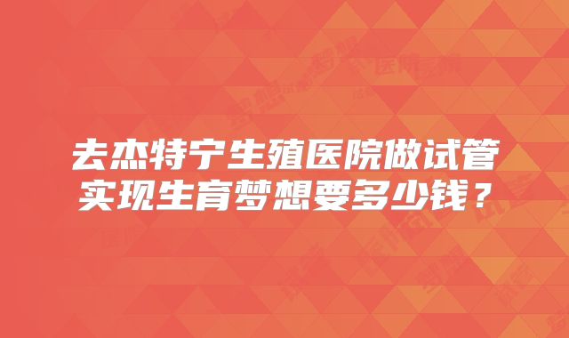 去杰特宁生殖医院做试管实现生育梦想要多少钱？