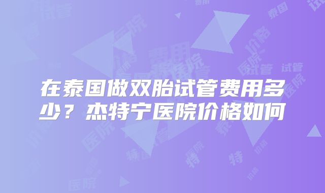 在泰国做双胎试管费用多少？杰特宁医院价格如何