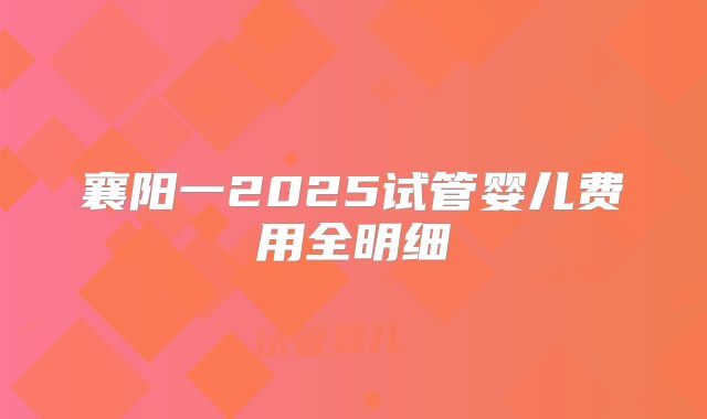 襄阳一2025试管婴儿费用全明细