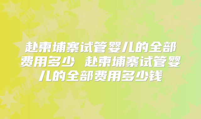 赴柬埔寨试管婴儿的全部费用多少 赴柬埔寨试管婴儿的全部费用多少钱