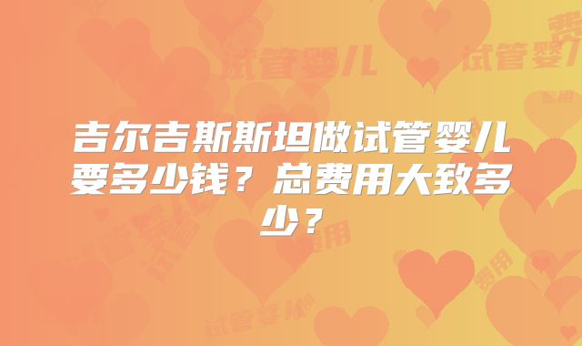 吉尔吉斯斯坦做试管婴儿要多少钱？总费用大致多少？