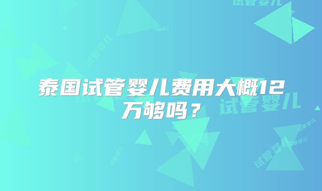 泰国试管婴儿费用大概12万够吗?