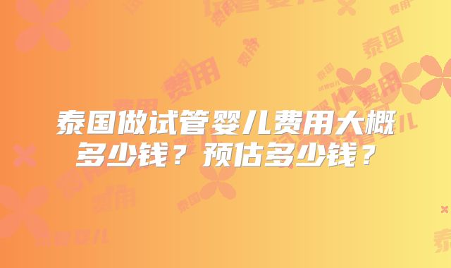 泰国做试管婴儿费用大概多少钱？预估多少钱？