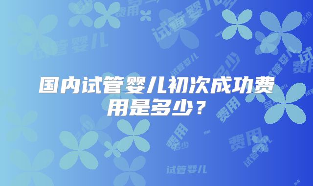 国内试管婴儿初次成功费用是多少？