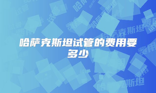哈萨克斯坦试管的费用要多少