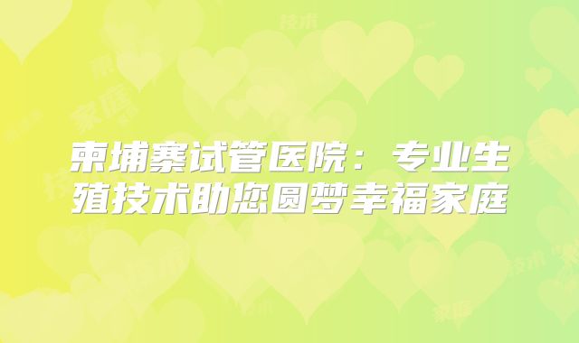 柬埔寨试管医院：专业生殖技术助您圆梦幸福家庭