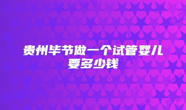 贵州毕节做一个试管婴儿要多少钱