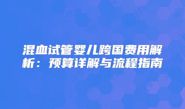 混血试管婴儿跨国费用解析：预算详解与流程指南