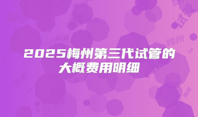 2025梅州第三代试管的大概费用明细