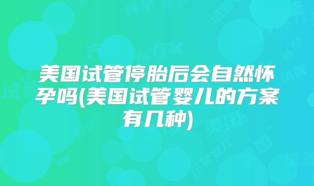 美国试管停胎后会自然怀孕吗(美国试管婴儿的方案有几种)