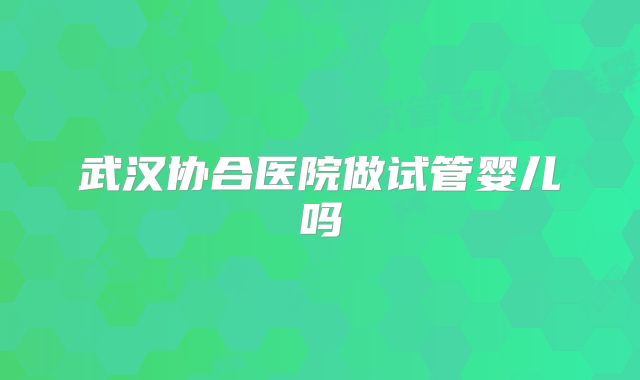 武汉协合医院做试管婴儿吗