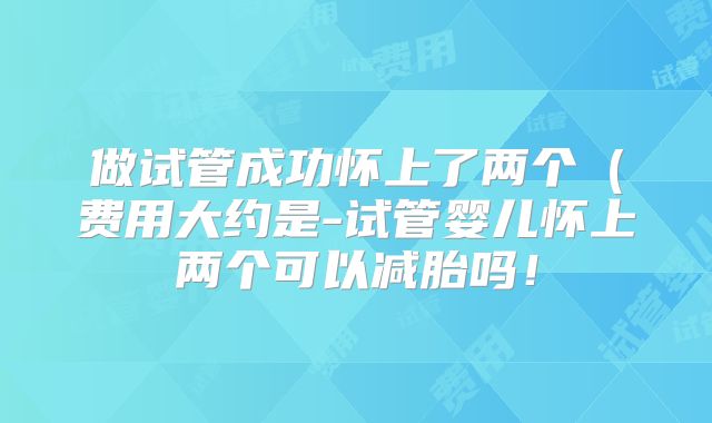 做试管成功怀上了两个（费用大约是-试管婴儿怀上两个可以减胎吗！