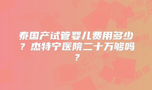 泰国产试管婴儿费用多少？杰特宁医院二十万够吗？