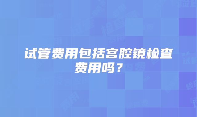 试管费用包括宫腔镜检查费用吗？
