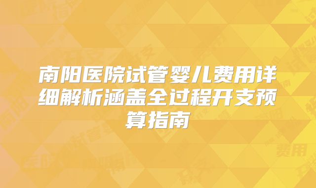 南阳医院试管婴儿费用详细解析涵盖全过程开支预算指南
