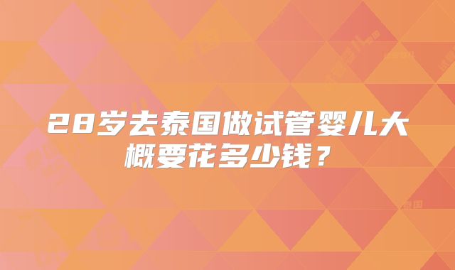28岁去泰国做试管婴儿大概要花多少钱？