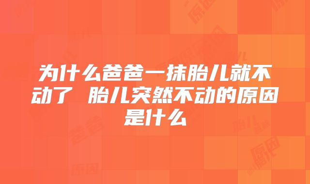 为什么爸爸一抹胎儿就不动了 胎儿突然不动的原因是什么