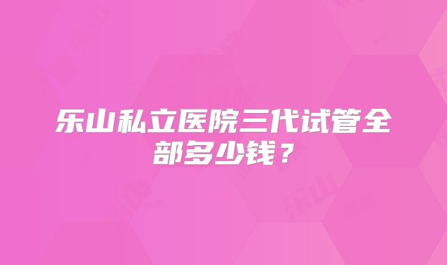 乐山私立医院三代试管全部多少钱？