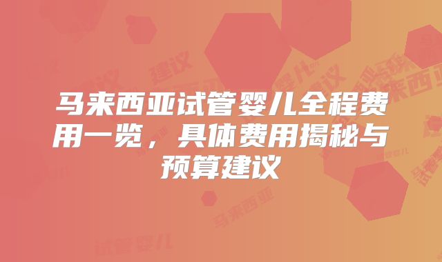 马来西亚试管婴儿全程费用一览，具体费用揭秘与预算建议