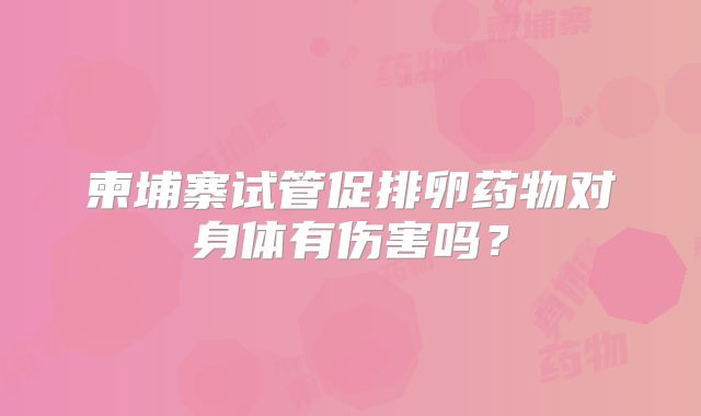 柬埔寨试管促排卵药物对身体有伤害吗？