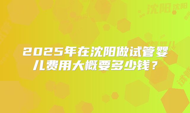 2025年在沈阳做试管婴儿费用大概要多少钱？