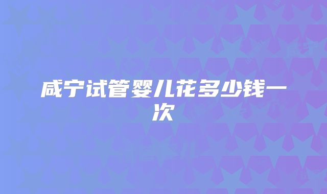 咸宁试管婴儿花多少钱一次