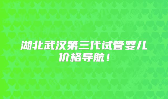湖北武汉第三代试管婴儿价格导航！