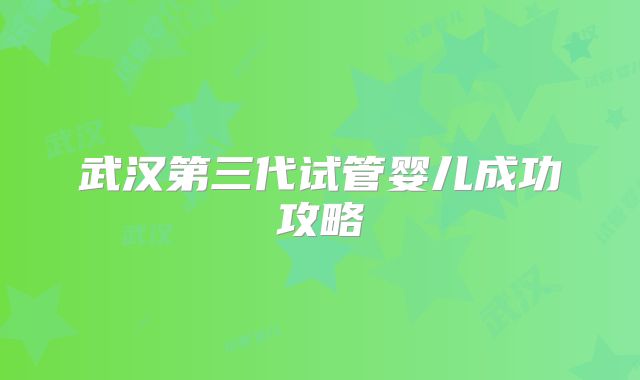 武汉第三代试管婴儿成功攻略
