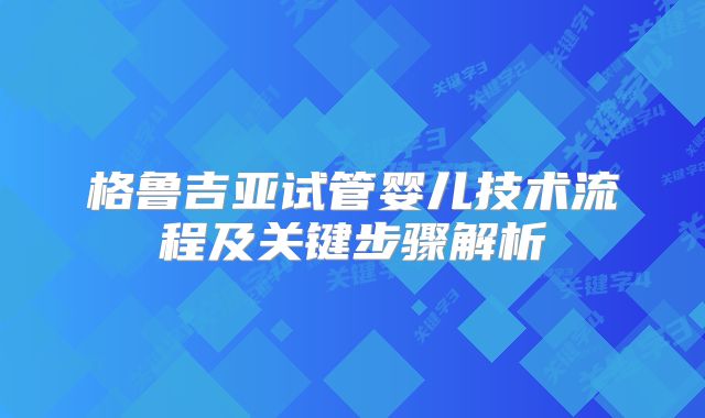 格鲁吉亚试管婴儿技术流程及关键步骤解析