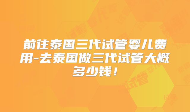 前往泰国三代试管婴儿费用-去泰国做三代试管大概多少钱！
