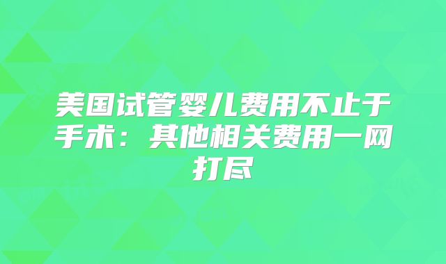 美国试管婴儿费用不止于手术:其他相关费用一网打尽