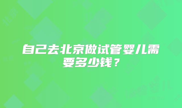 自己去北京做试管婴儿需要多少钱？