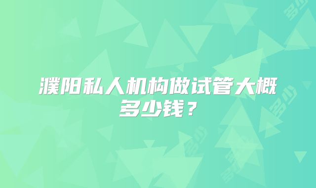 濮阳私人机构做试管大概多少钱？