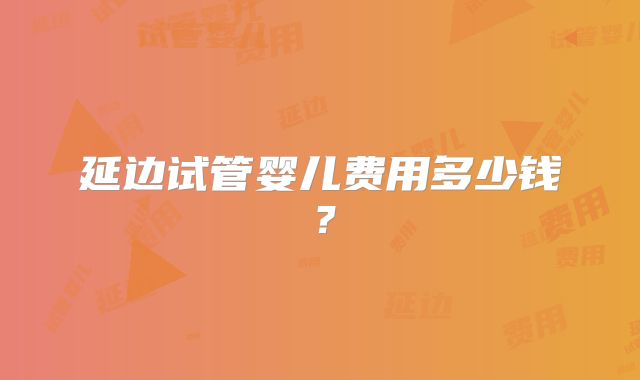 延边试管婴儿费用多少钱？