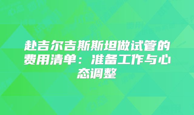 赴吉尔吉斯斯坦做试管的费用清单:准备工作与心态调整