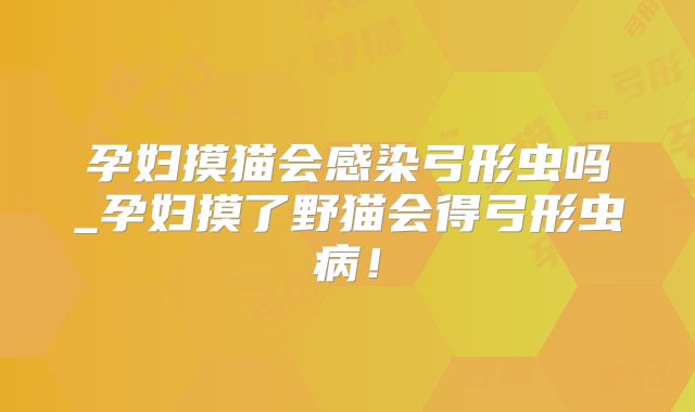 孕妇摸猫会感染弓形虫吗_孕妇摸了野猫会得弓形虫病!