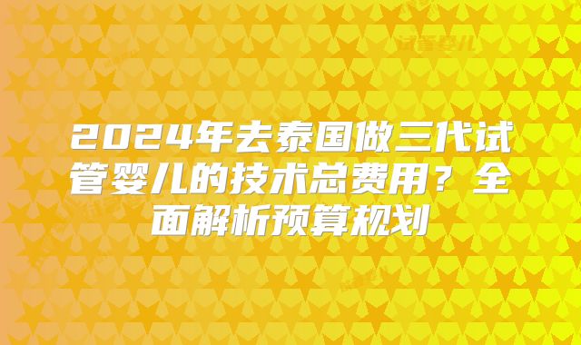 2024年去泰国做三代试管婴儿的技术总费用?全面解析预算规划