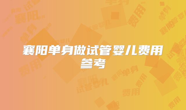 襄阳单身做试管婴儿费用参考