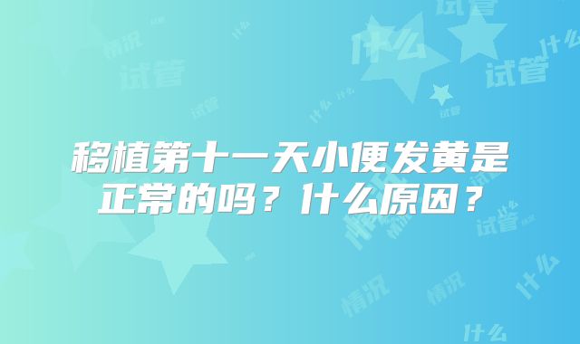 移植第十一天小便发黄是正常的吗?什么原因?