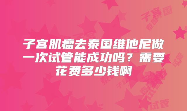 子宫肌瘤去泰国维他尼做一次试管能成功吗?需要花费多少钱啊