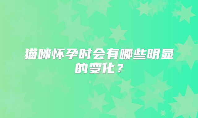 猫咪怀孕时会有哪些明显的变化?