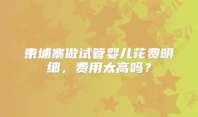 柬埔寨做试管婴儿花费明细，费用太高吗？