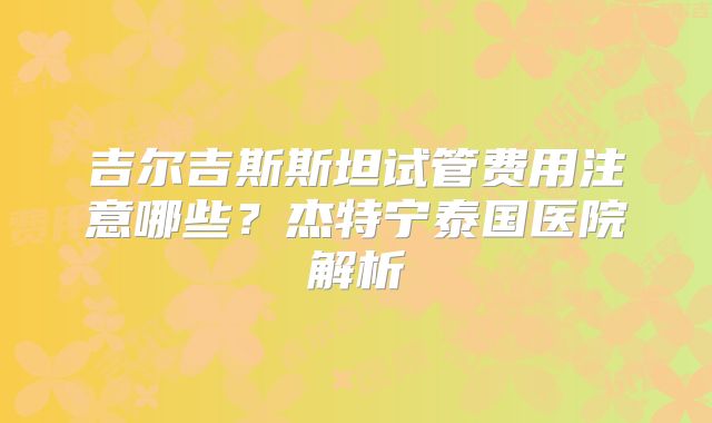 吉尔吉斯斯坦试管费用注意哪些？杰特宁泰国医院解析