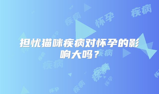 担忧猫咪疾病对怀孕的影响大吗?