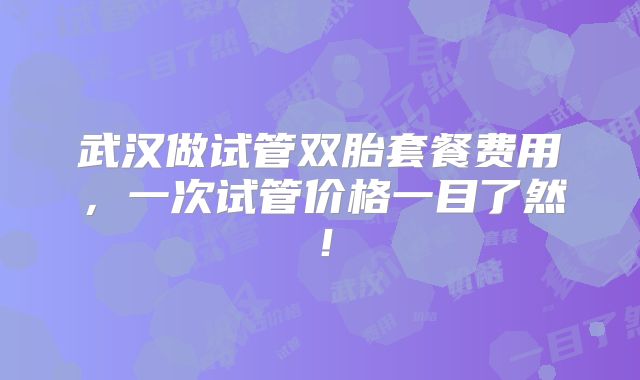 武汉做试管双胎套餐费用,一次试管价格一目了然!