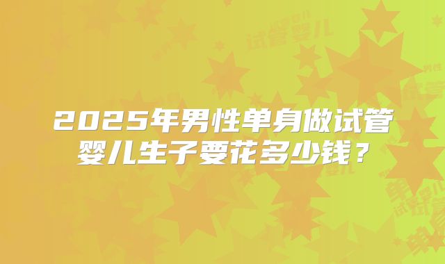 2025年男性单身做试管婴儿生子要花多少钱？