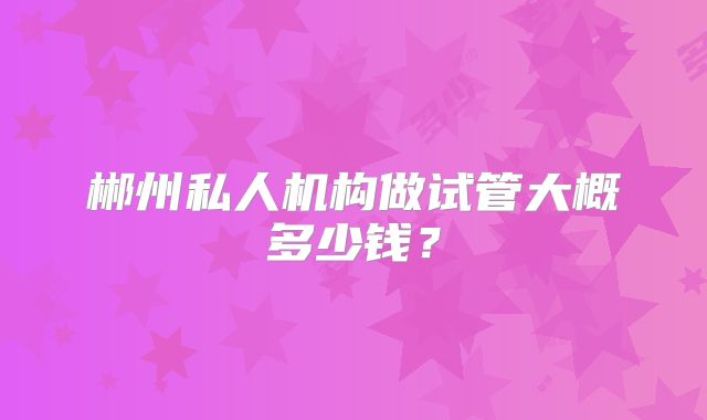 郴州私人机构做试管大概多少钱？